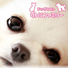 ドッグサロン リトルファミリー